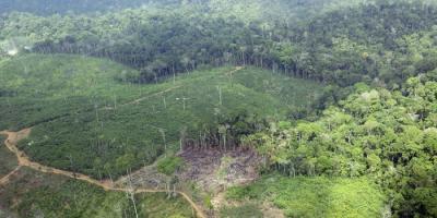 Área recentemente desmatada na Terra Indígena Cachoeira Seca do Iriri (PA), campeã do desmatamento entre 2012 e 2015 | Juan Doblas